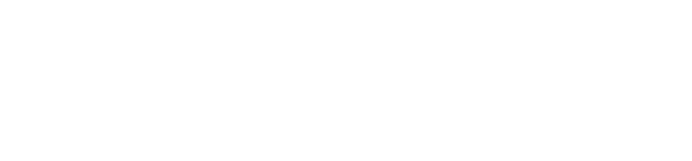 VX3