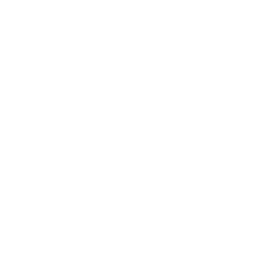 Viva_Spanish